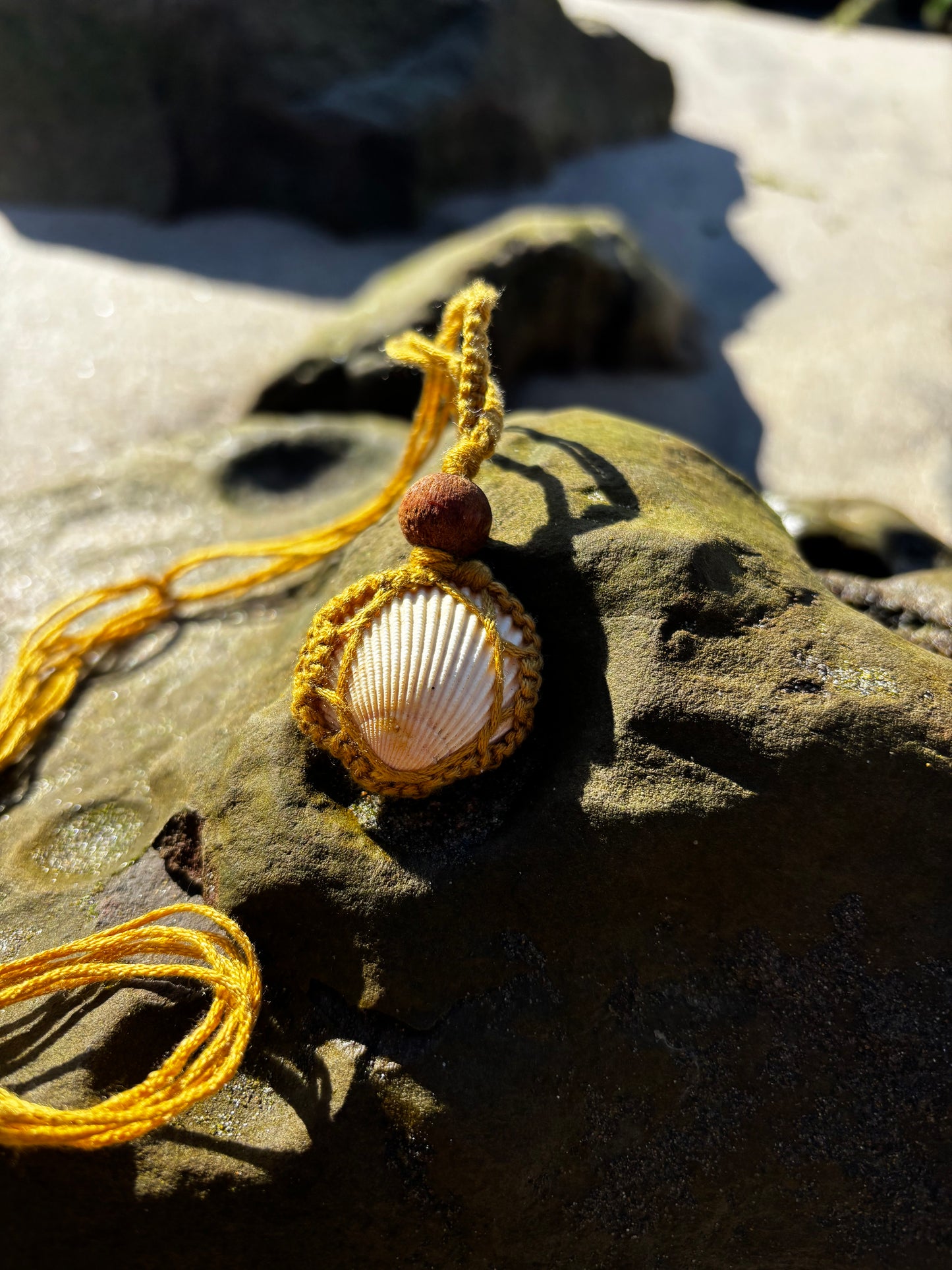 Macrame Seashell Necklace Full Shell