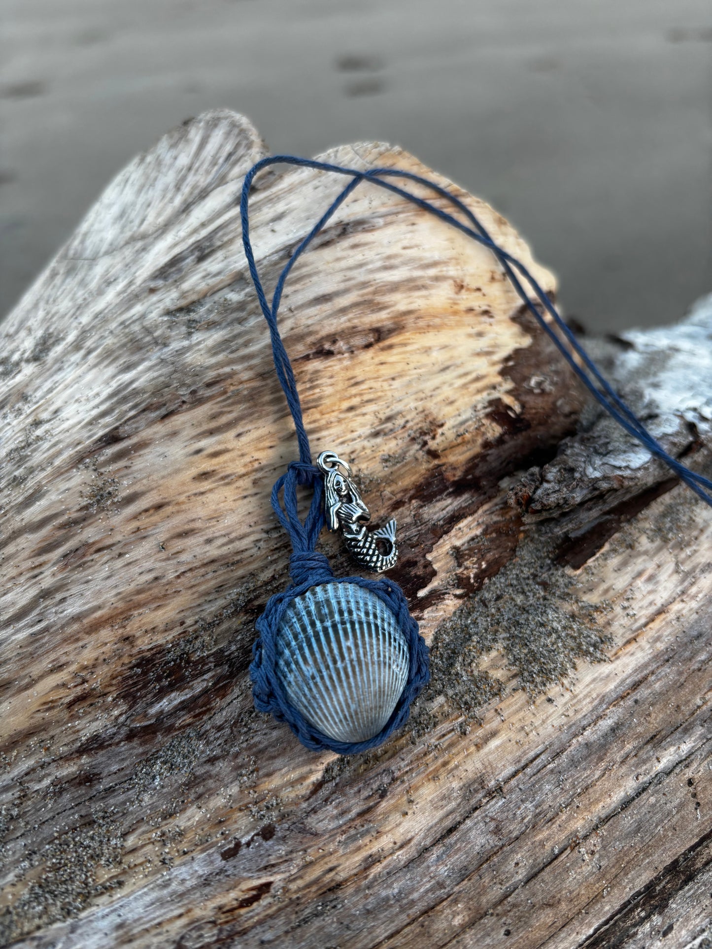 Sea Shell Hemp Wrapped Necklace