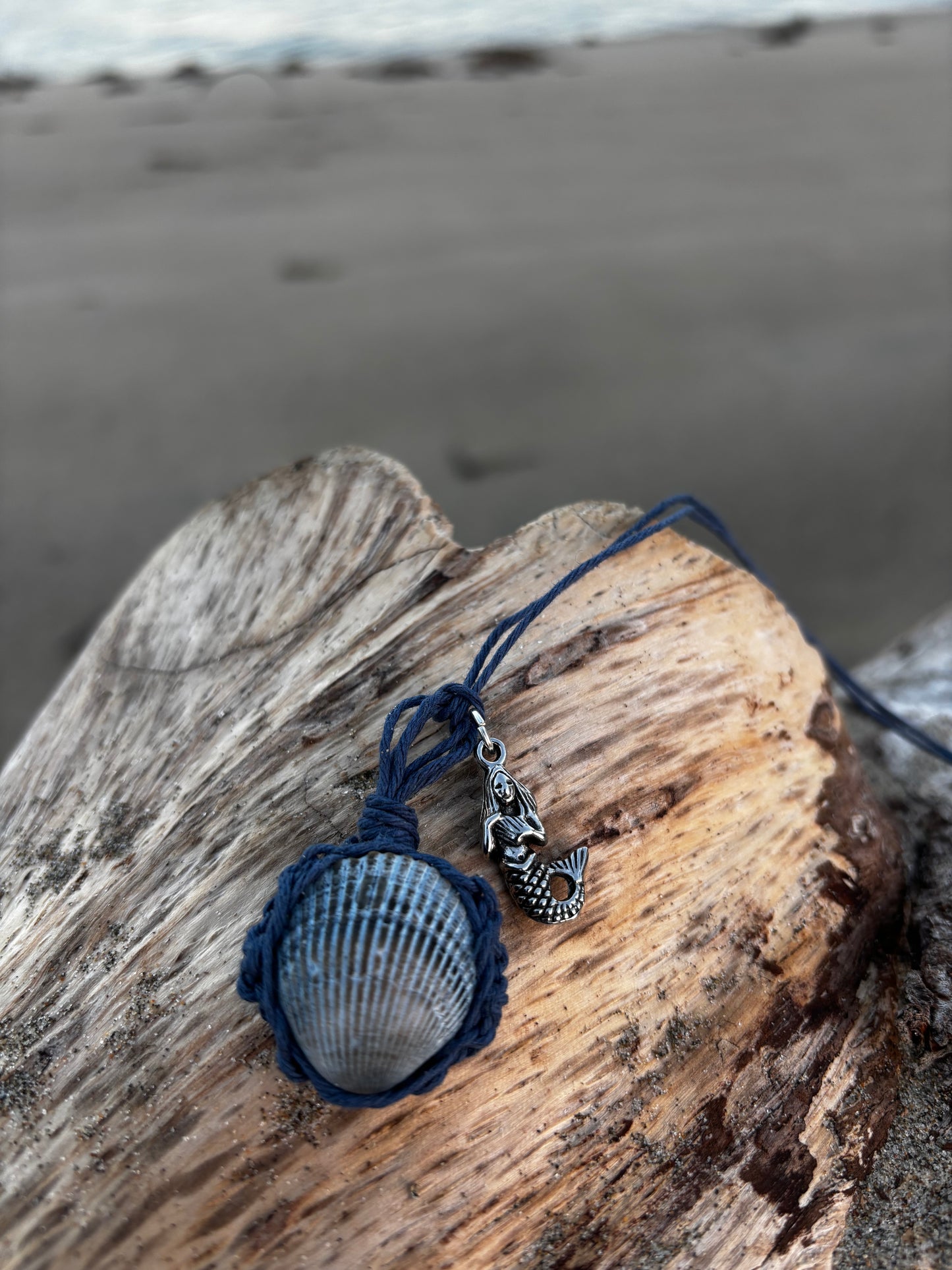 Sea Shell Hemp Wrapped Necklace